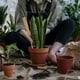 thumbnail image 3 of Herramienta para arrancar malezas, herramienta para arrancar malezas de diente de león, recogedor de malezas, herramienta para jardinería, herramienta para arrancar malezas de jardín., 3 of 7