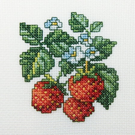 UPC: 4743348401554 | Wild Strawberries H251 Counted Cross Stitch Kit