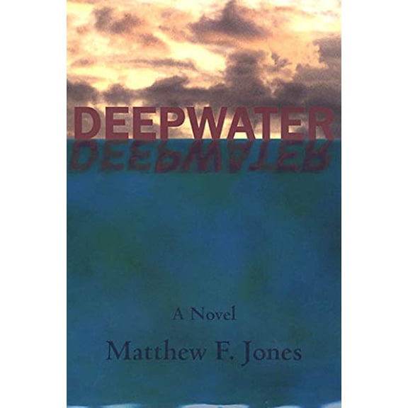 Pre-Owned Deepwater: A Novel (Hardcover) 1582340595 9781582340593