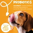 thumbnail image 6 of maxxidigest+ Probiotic & Prebiotic Powder Supplement - Digestive & Immune Support for Dogs, 13.2oz, 6 of 9