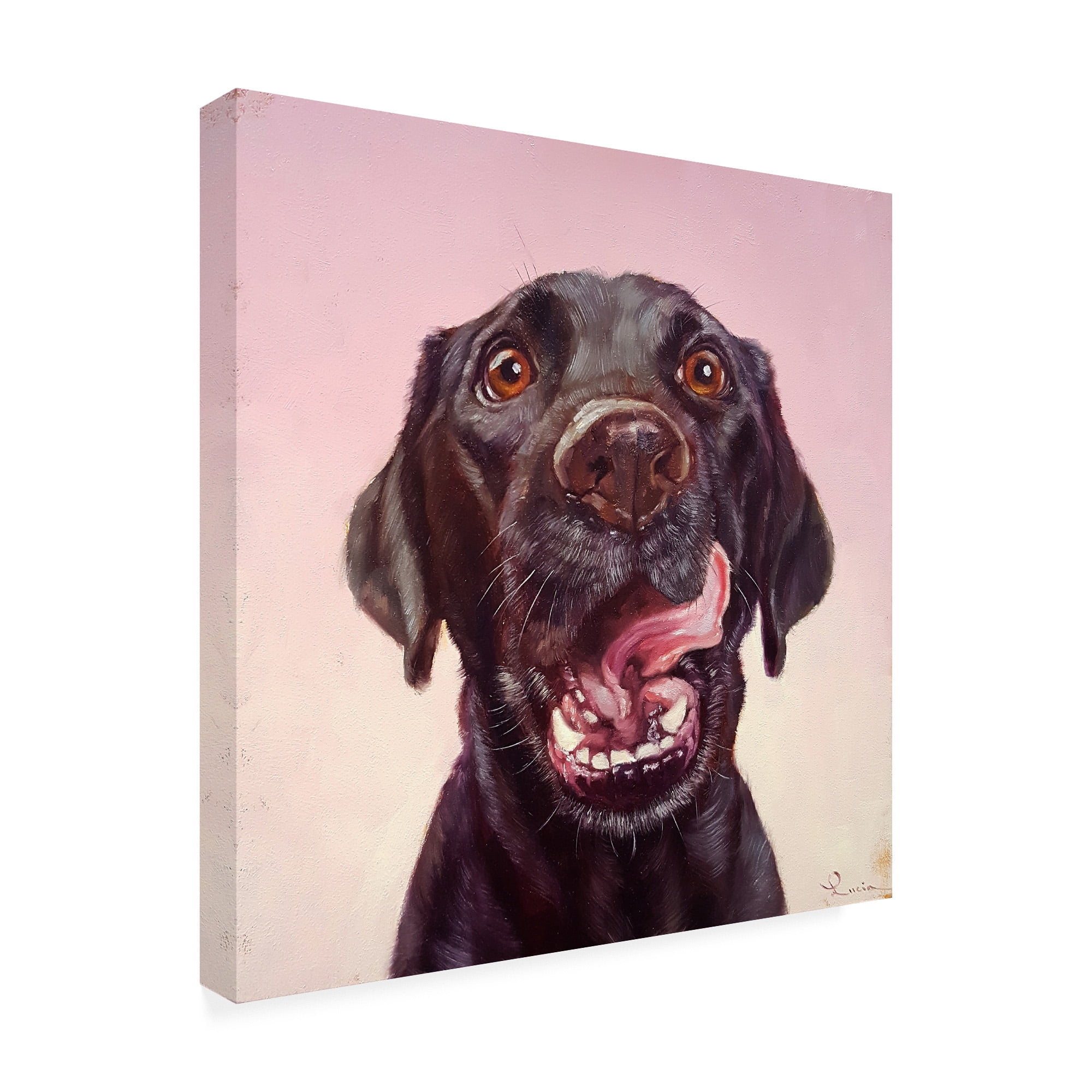 Trademark Fine Art 'Follow Your Nose 7' Canvas Art by Lucia Hefferna