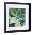 thumbnail image 5 of Kate and Laurel Calter Green Succulent Leaves Matted Framed Print Under Glass Art Set by Amy Peterson, 15.5x15.5-inches/each, Black, 5 of 6
