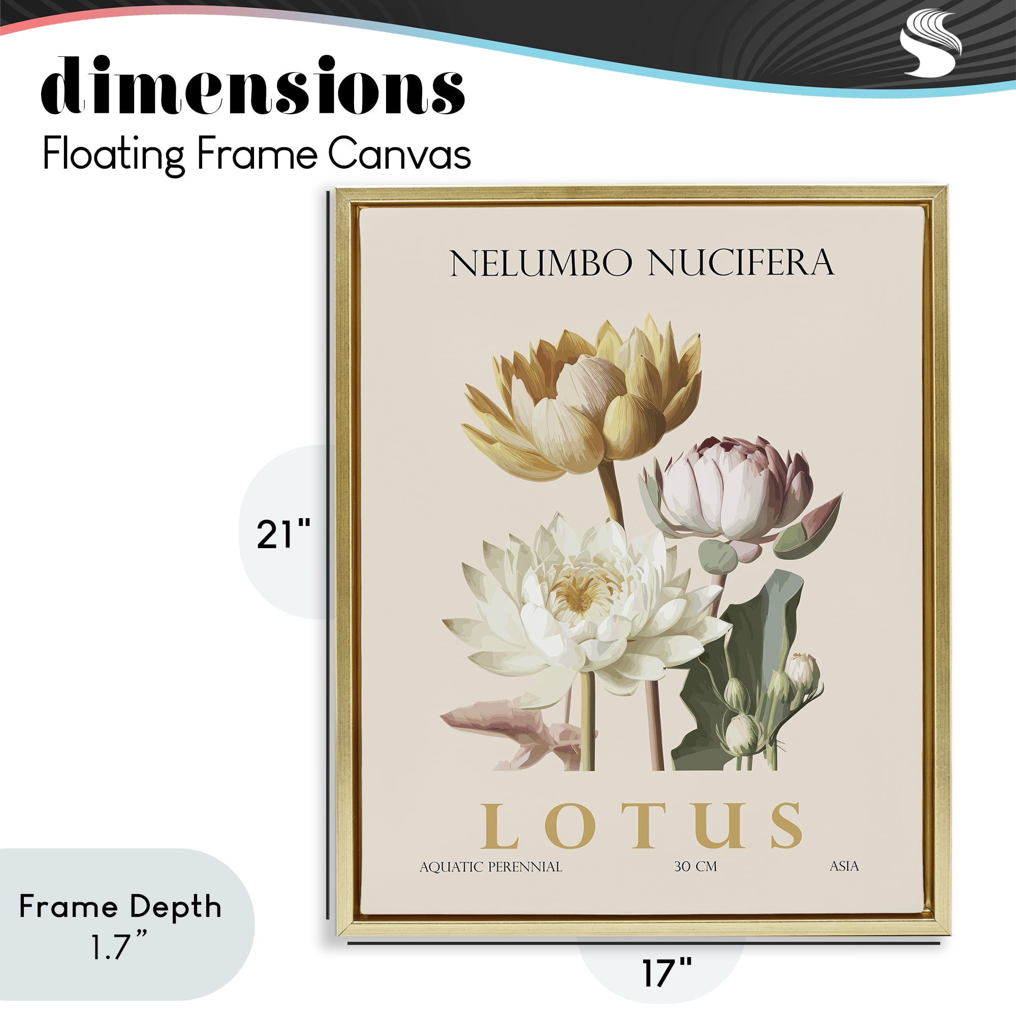 Stupell Industries Natural Lotus Bundle Gold Framed Floater Canvas Wall Art, design by Christopher Giampietro
