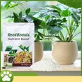 thumbnail image 1 of Xuewenshw Nutritional Powder Succulent Green Robe Flower Potted And Transplanted Root Growth Nutritional Powder, 1 of 6