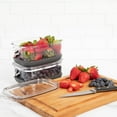 thumbnail image 7 of ProKeeper+ by Progressive Stackable Produce ProKeeper Storage Container with Stay-Fresh Vent System (PKS-912 (1.2 qt Berry Keeper)), 7 of 7