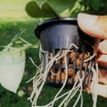 thumbnail image 4 of 12 Pcs Hydroponics Pots with 10 Pcs Hydroponics Pots Mesh Plant Hydroponics Pots Labels Hydroponics Mesh Pot Black Growing Net for Hydroponics Supplies, 4 of 9