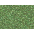 thumbnail image 1 of Ahgly Company Machine Washable Indoor Rectangle Transitional Pea Green Area Rugs, 2' x 4', 1 of 7