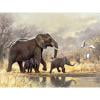 thumbnail image 2 of Cuadros Decorativos 5D diamante pintura elefante mamá e hijo taladro redondo completo pared Rhinestone DIY DQrwqpou Nuevos Originales, 2 of 9