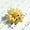 Bee &Flower, variant on Crystal Daisy Sunflower Plant Enamel Rhinestone Bouquet Brooch Pin Party Women-Daisy