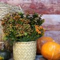 thumbnail image 5 of Artificial Fall Flowers Mums Outdoor - 6 Bundles Fake Plants No Fade Faux Plastic Greenery Shrubs for Home Indoor Kitchen Garden Porch Patio Decoration Thanksgiving Wedding Party Fireplace(Type A), 5 of 5