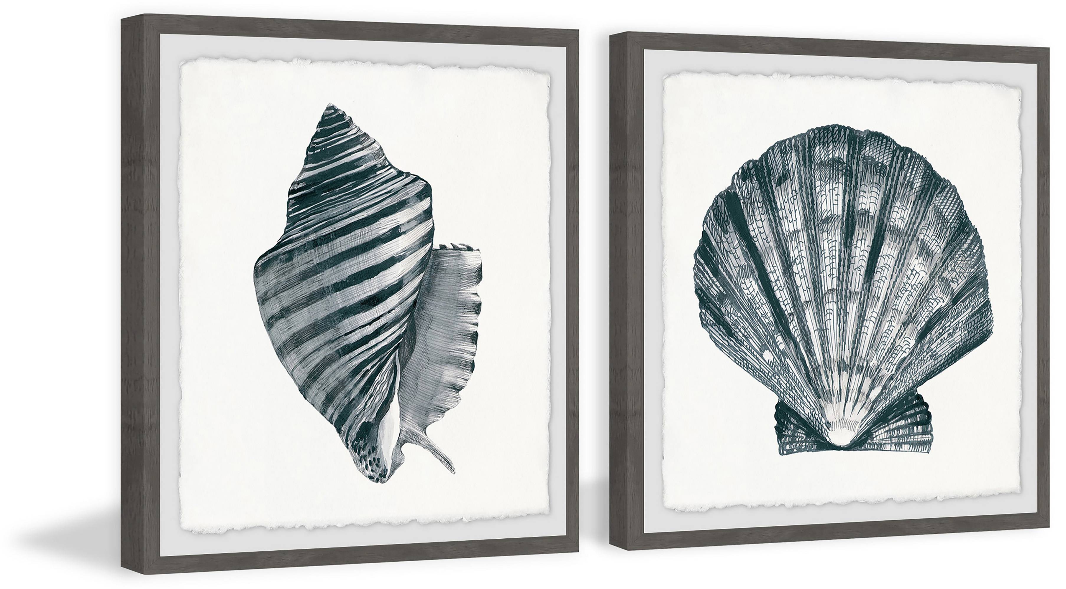 Marmont Hill Striped Queen Conch II Diptych