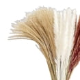 thumbnail image 2 of 60Pcs Large Dried Pampas Grass for Vase Wedding Gift Reed Flowers Party Home Zulema hierba de pampa seca, 2 of 8