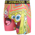 thumbnail image 6 of COCO BRANDS SpongeBob SquarePants Mens Underwear - 1/2 Pack Rugrats Men Boxer Briefs (S-2XL), 6 of 7