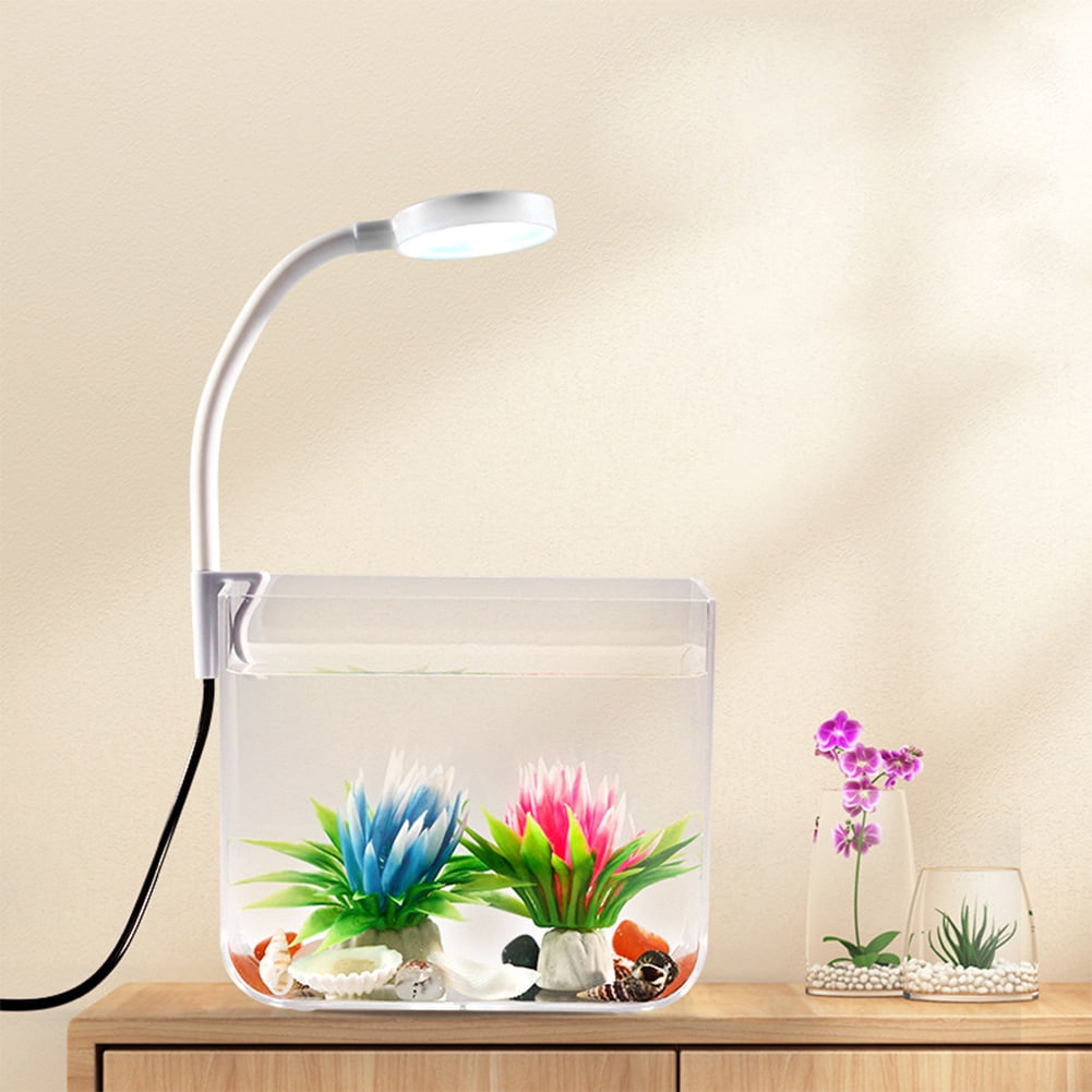 Aquarium Betta, Petit Aquarium Avec Filtre Mural, Lumière à Pince LED, Kits De Démarrage Légers Haute Transparence Pour Décoration De Bureau Salon