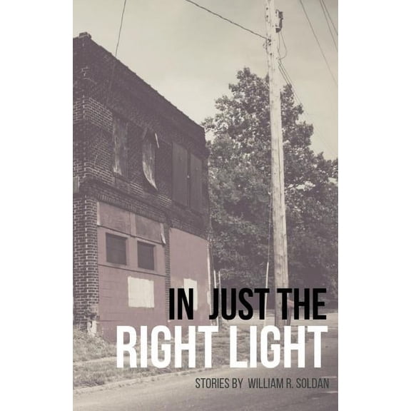 In Just the Right Light, (Paperback)