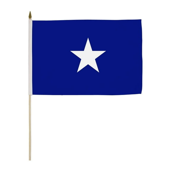 Bonnie Blue 12x18in Stick Flag