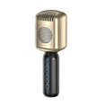 thumbnail image 5 of Micrófono de karaoke portátil Yuxing de condensador estilo retro clásico Bluetooth plateado, 5 of 5