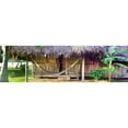 thumbnail image 3 of Reed, Jack 14x7 Black Modern Framed Museum Art Print Titled - One Fine Backyard, 3 of 5