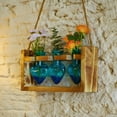 thumbnail image 3 of Plant Terrarium for Office Decor - Wooden Stand Tabletop Planter 3 Bulb Glass Vase Heart Shaped for Hydroponics Indoor Home, 3 of 7