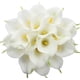 thumbnail image 1 of Ramo de boda Duovlo, 20 unidades, flor artificial de látex con forma de lirio de cala, con toque real, decoración para fiestas en el hogar (blanco), 1 of 6