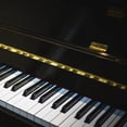 thumbnail image 2 of Miangastore Piano Hinges Smooth Operation Golden 4Pcs, 2 of 9