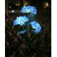 thumbnail image 1 of Soporte de pared para manguera de jardín | Almacenamiento seguro de mangueras | Uso en exteriores | Herramientas de jardinería y riego, 1 of 4