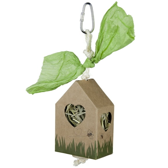 Prevue Pet Products Timothy Hay House Small Animal Chew Toy