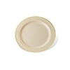 Host & Porter Gold Rim Plastic Dessert Plates, 6", 10 Count