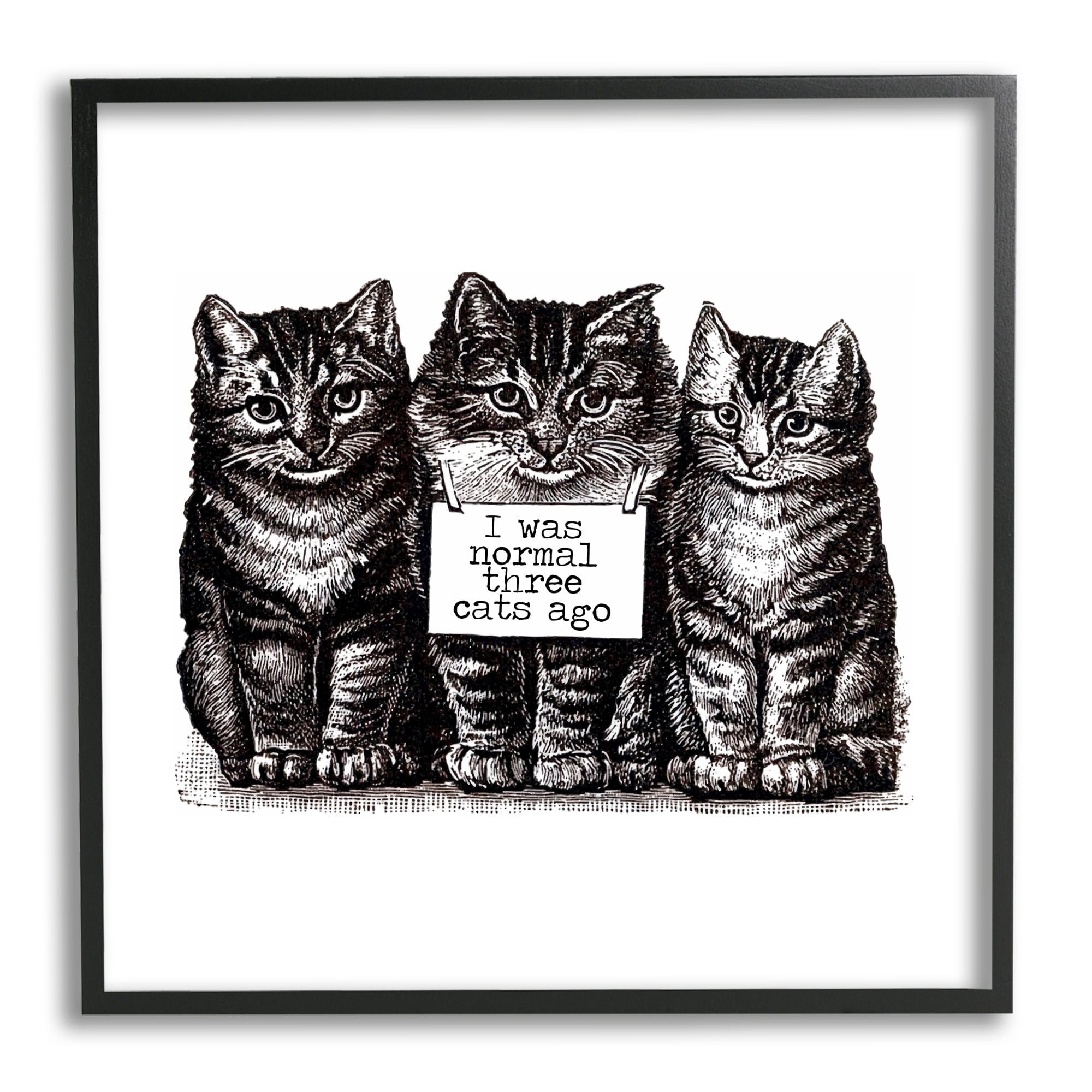 Stupell Industries Normal Three Cats Ago Phrase Monochrome Sign Framed Wall Art, 24 x 24, Design by Amy Brinkman