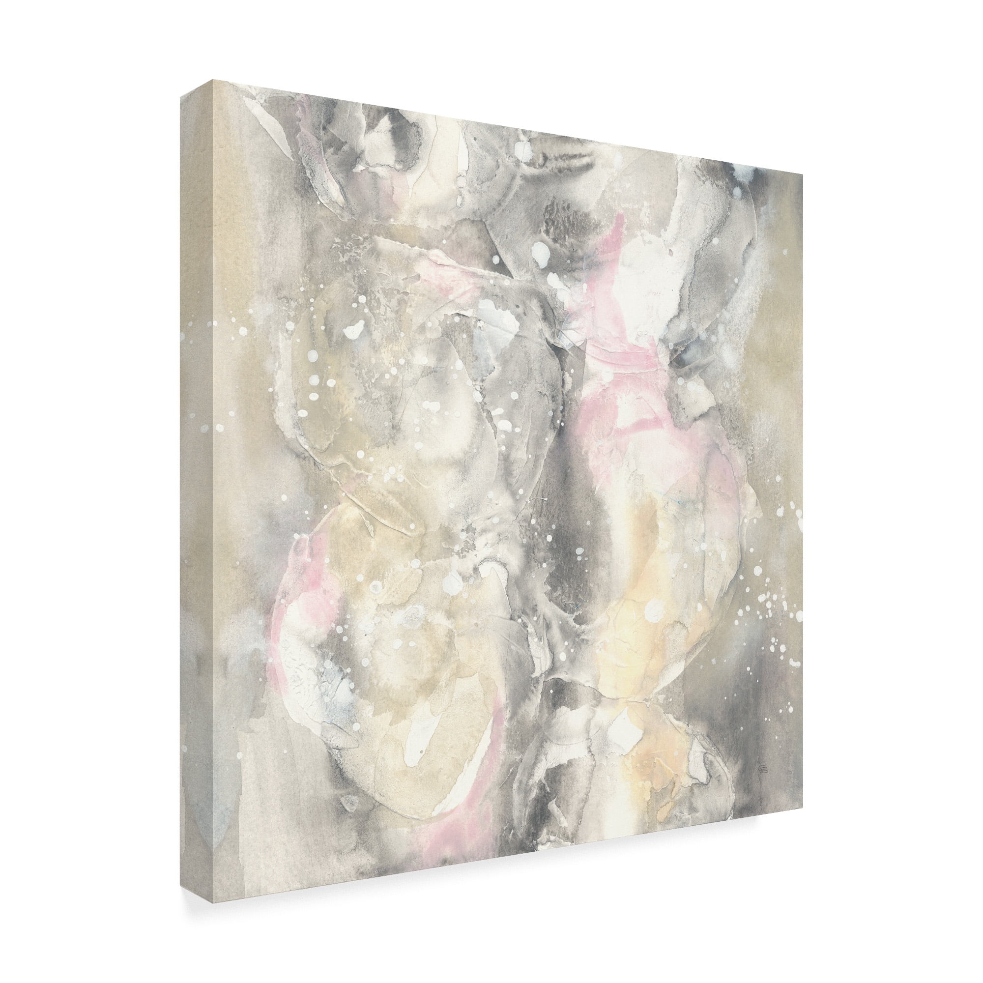 Trademark Fine Art 'Blushing Snowflakes II' Canvas Art by Chris Paschke