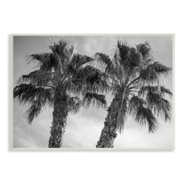 Stupell Industries Tall Tropical Palm Trees Black White Photography, 19 x 13,Design by Matheson