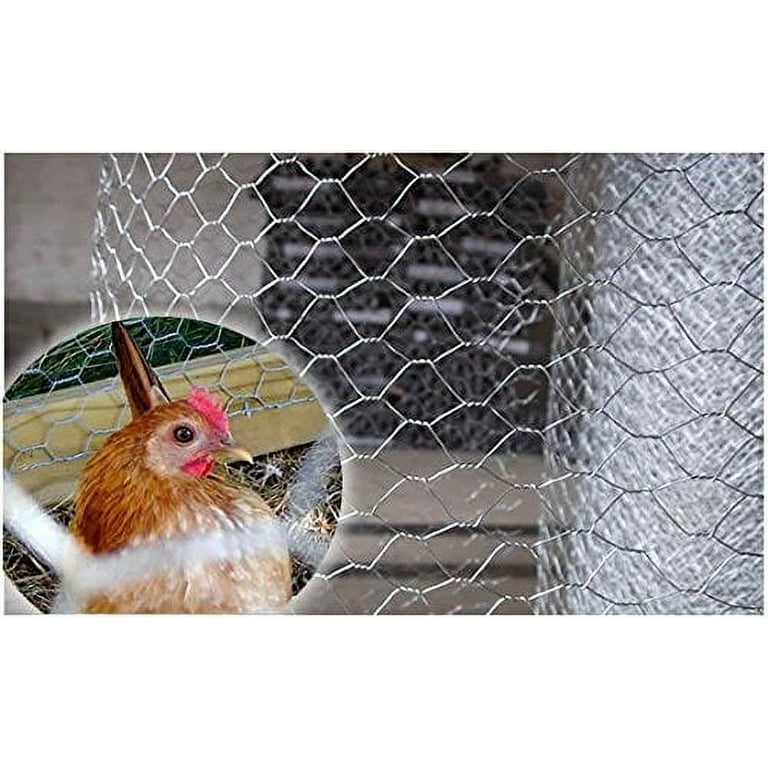 MTB 20GA Galvanized Hexagonal Poultry Netting Chicken Wire 60 inches x 150  feet x 2 inches Mesh…