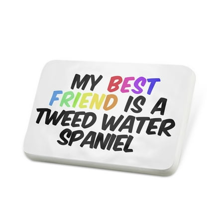 Porcelein Pin My best Friend a Tweed Water Spaniel Dog from United Kingdom Lapel Badge – (Best Tweed Champ Clone)