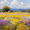 Vibrant Wildflower Field Oil, variant on UXIEQU Abstract Figure Canvas Wall Art Print 15.75x11.81 Inches