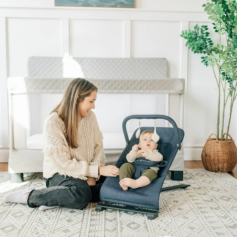 Baby Delight Alpine Deluxe Portable Baby Bouncer for Infants 0 6