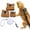 Brown, variant on Reptile Harness and Leash Set, 3 Size Soft Faux Suede Vest Harnesses with Retractable 9.8 ft Leash for Bearded Dragons, Lizards, Chameleons, Small Pets, Brown