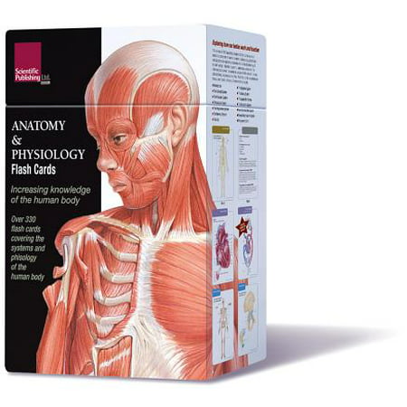 Anatomy & Physiology Flash Cards (Best Medical Physiology Textbook)