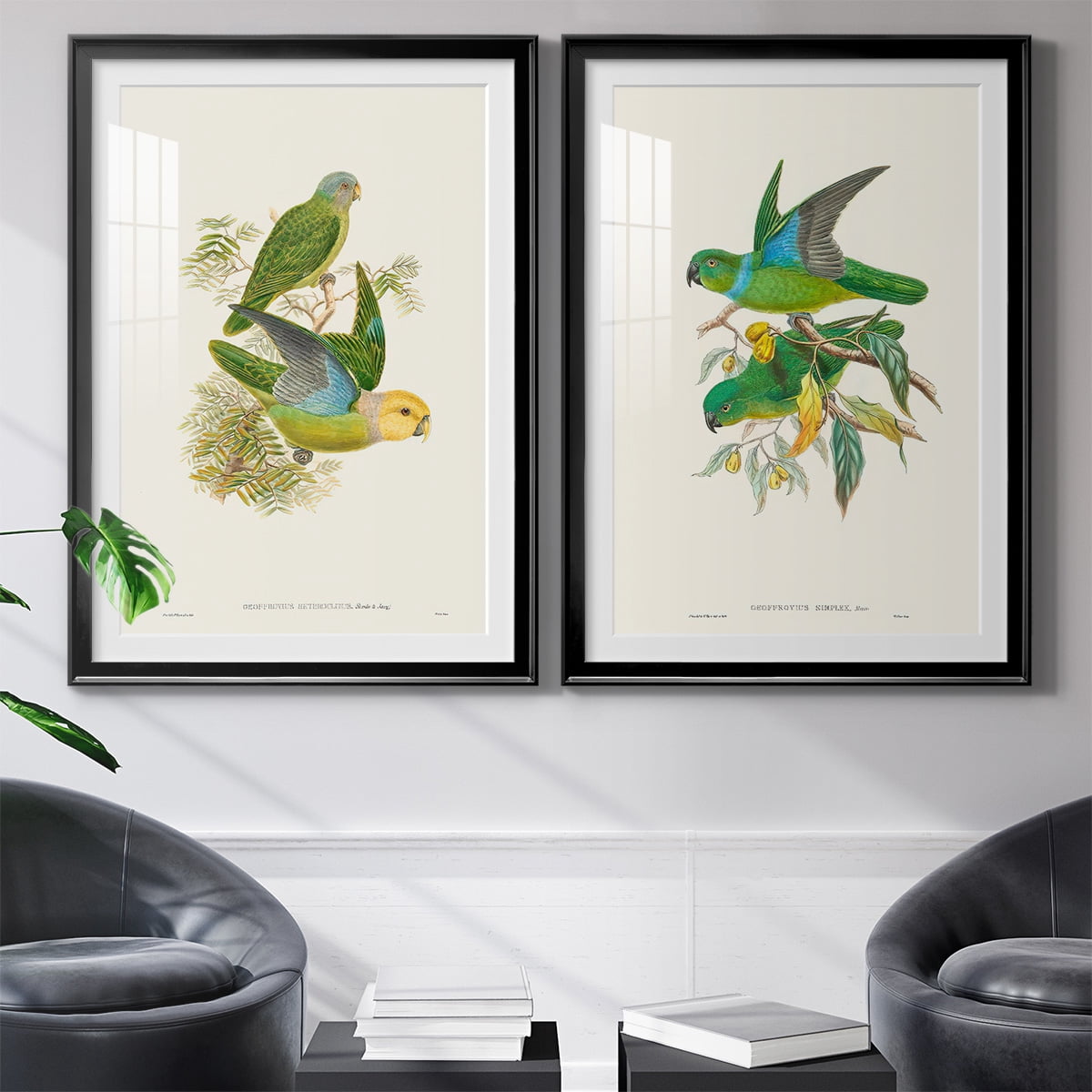 Wexford Home Lime & Cerulean Parrots I Premium Framed Print, 30.5" x 42.5" - Ready to Hang, Black (Set of 2)