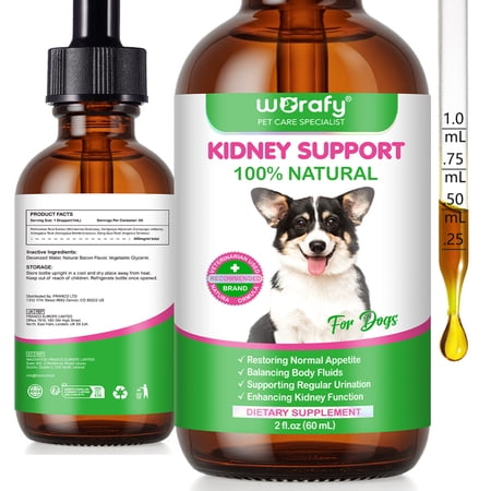 Petpya 1 Pack Appetite Booster Drops for Dogs - Supports Healthy Kidney Function Urinary Tract for Dogs Body Fluids Balancing - Restores Appetite 2fl,oz (60ml) - Bacon Flavor