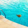 thumbnail image 6 of Inerposs Funny Floating Poop Prank for Swimming Pools, Spas, Hot Tubs - Durable and Sturdy Design with Rope for Easy Handling - Suitable for Outdoor Use Under Sunlight - Measures 7.87x3.94 Inches, 6 of 8