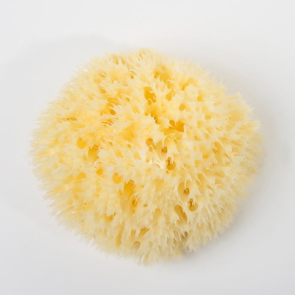 Natural Super Soft Ocean Sea Sponge Bath Body A8A6 Washing Loof Spa S B5N9 UK
