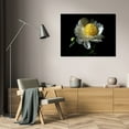 thumbnail image 3 of Tammy Putman 24x17 Gallery Wrapped Canvas Wall Art Titled - White Peony I, 3 of 4