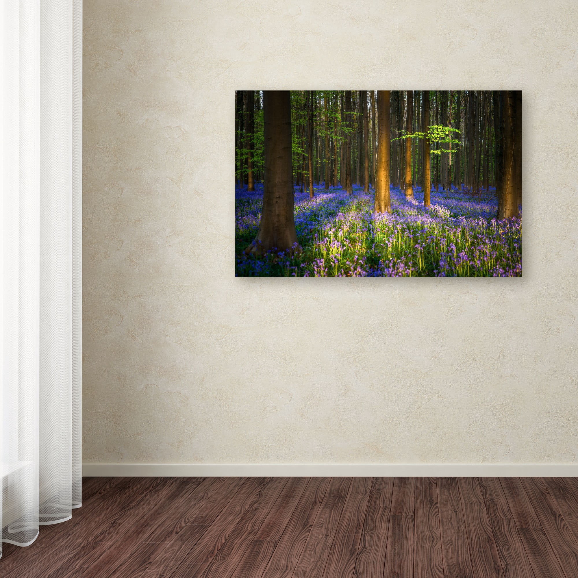 Trademark Fine Art "Mystical Forest" Canvas Art by Mathieu Rivrin