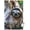 Premium Poster & Mount Bundle, variant on Sloth - Smile Wall Poster, 14.725" x 22.375"