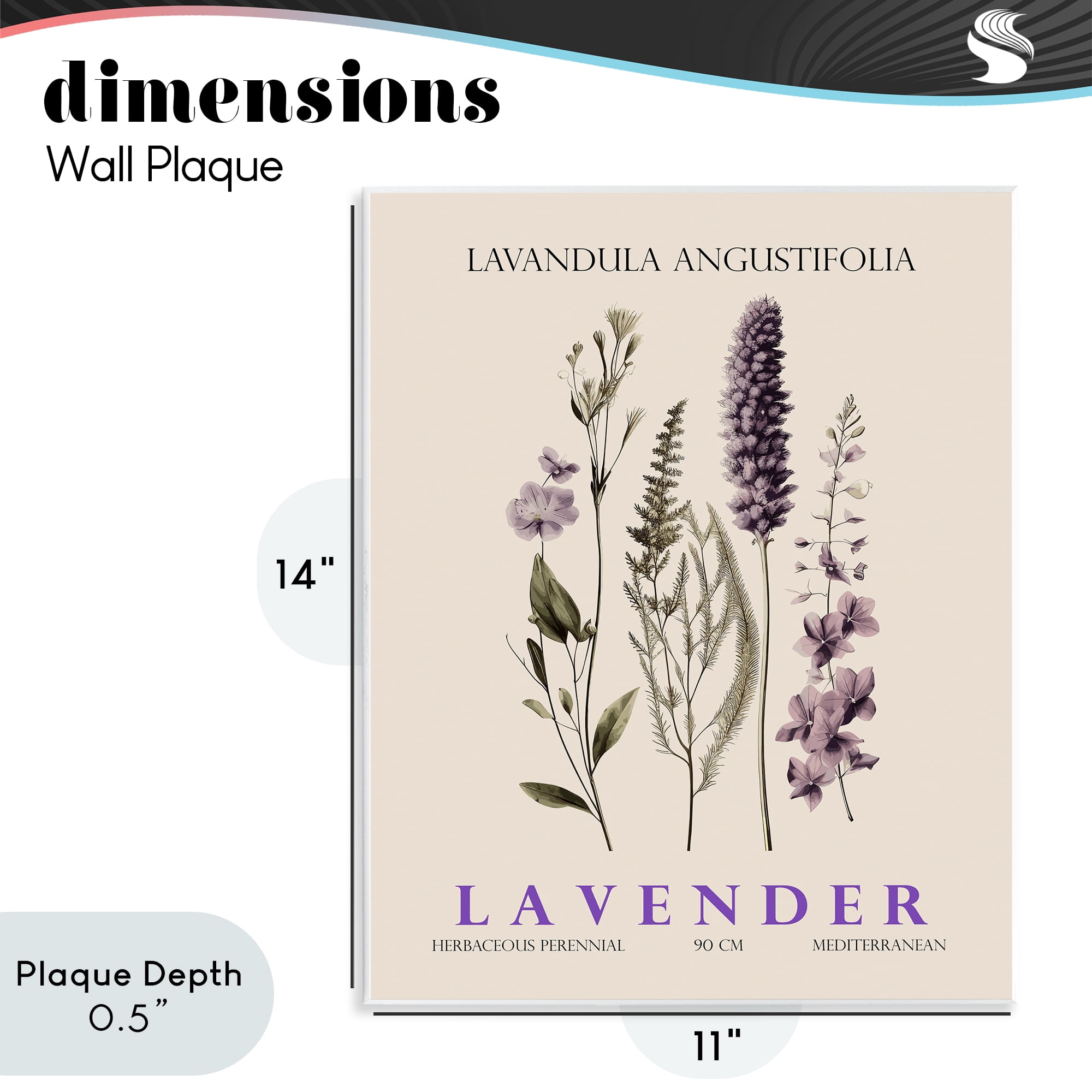 Stupell Industries Natural Lavender Bundle Wall Plaque Art, design by Christopher Giampietro