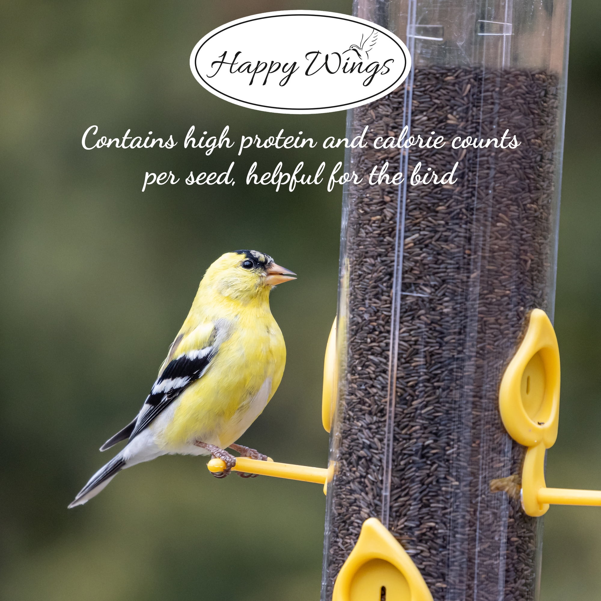 Happy Wings Thistle/Nyjer Seed, No Growth Wild Bird Feed and Seed, Dry, 10 lb. Bag