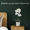 thumbnail image 5 of Home Accents 16-inch Artificial Real Touch Phalaenopsis Orchid in Cream Glaze Ceramic Pot, Yellow, 5 of 7