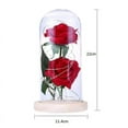 thumbnail image 2 of Artificial Rose Flower In The Glass Dome Night Lights LED String Lights Decoration Birthday Valentine's Day Gift, 2 of 8