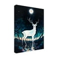 thumbnail image 2 of Trademark Fine Art Muh Asdar Paint Deer Canvas Wall Art, 2 of 4