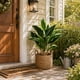 thumbnail image 1 of Artificial Plants Cuttings 14 Leaves Evergreens Small Potted Plants Ornament Home Decoration Artificial Green Plants And Flowers, 1 of 6